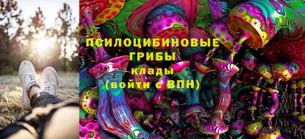 крисы Алзамай