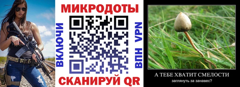 купить  цена  Мирный  Галлюциногенные грибы GOLDEN TEACHER 