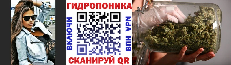 МАРИХУАНА SATIVA & INDICA KRAKEN как зайти Мирный